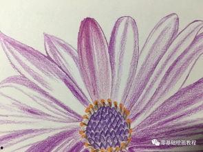 彩铅入门教程视频